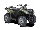 2012 Suzuki Ozark 250 photo